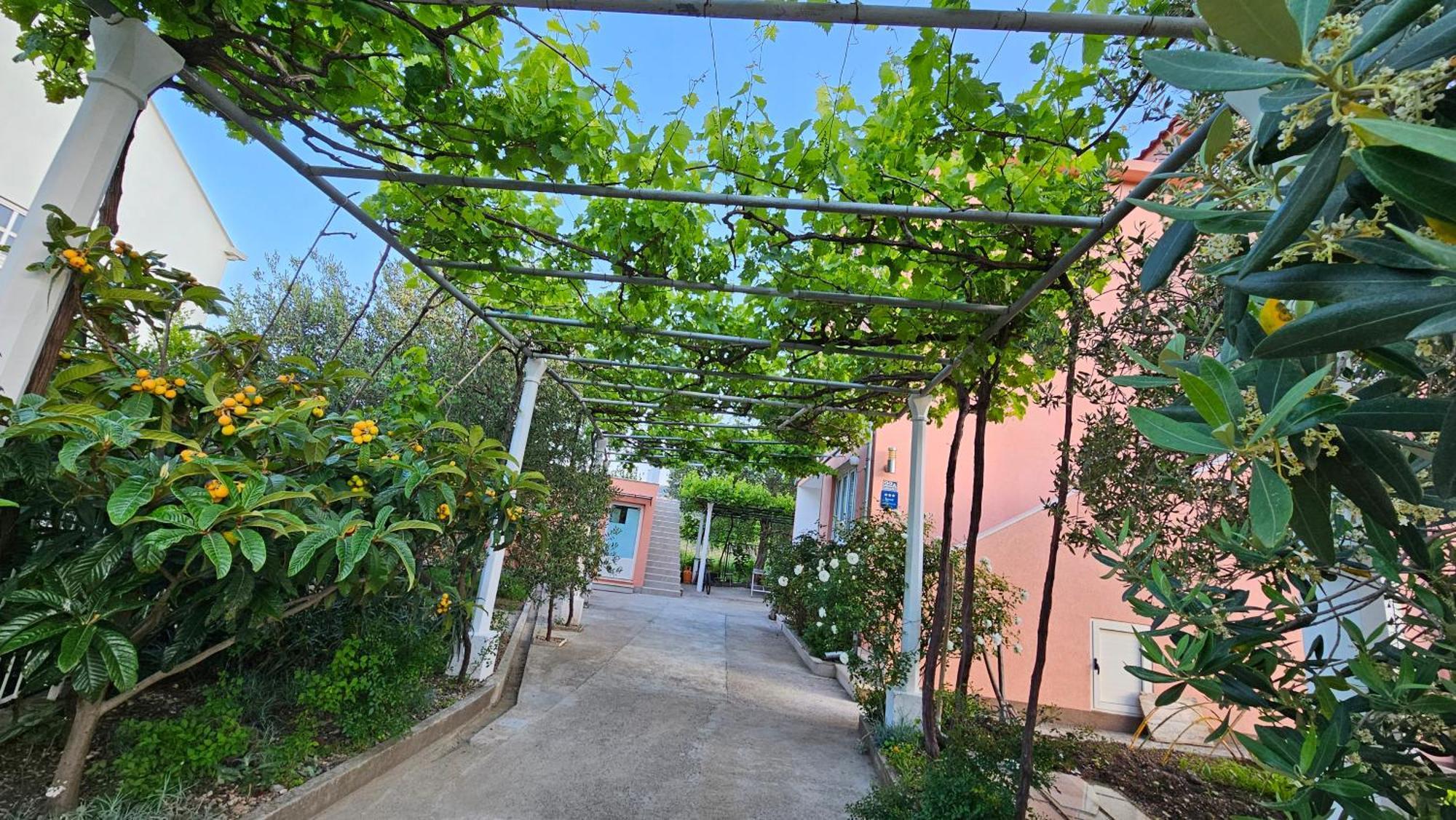 Apartment Lanka Mlini Kültér fotó